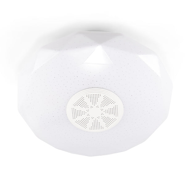 Bluetooth Wireless RGB Music Ceiling Light